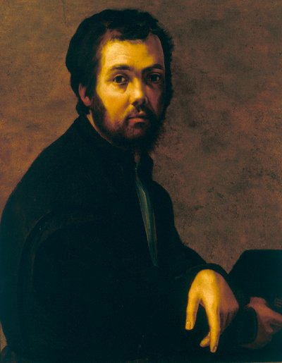 Portrait of a Man by Francesco de Rossi Salviati Cecchino